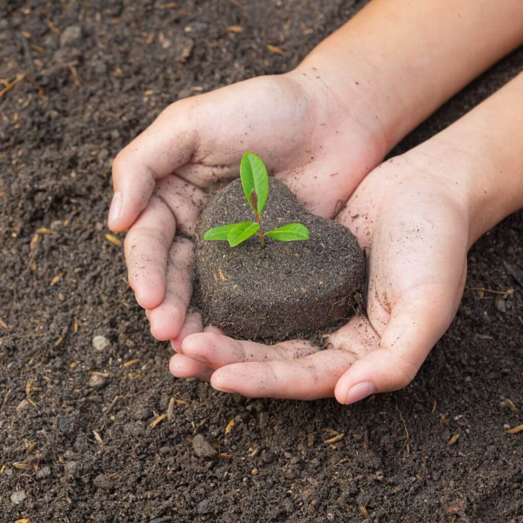 Projeto Plantar